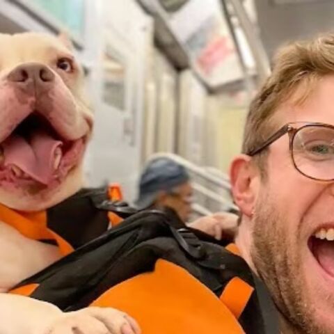 athensvoice_-_2025-12-07t173137_351