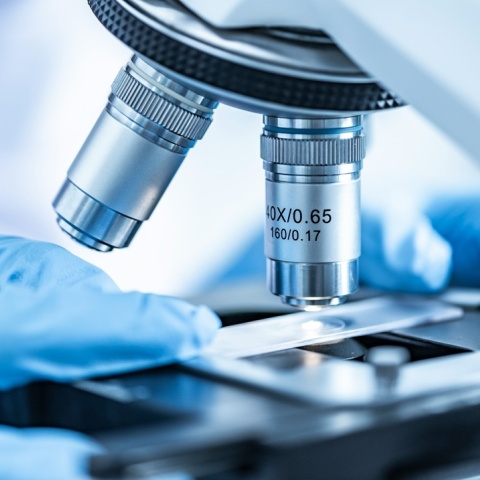 Μικροσκόπιο ερευνητή