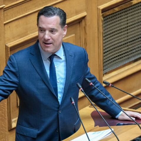 Γεωργιάδης: Μόνο η  Κωνσταντοπούλου θεωρούσε σπουδαίο τον Καραναστάση, ο έρως είναι μεγάλο πράγμα