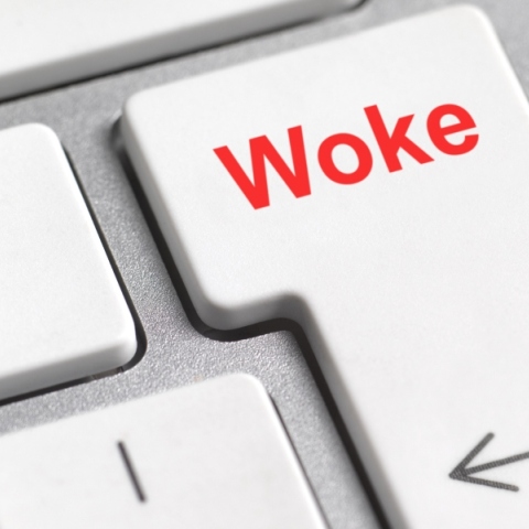 Από την επιστημονική σύνθεση στην πολιτική ορθότητα: πώς η διατομεακότητα κυριάρχησε στον ακαδημαϊκό λόγο