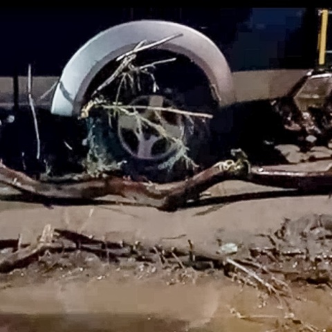 Πτώση δέντρου