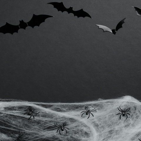 Φοβίες και μανίες: Η ιστορία του κόσμου σε 99 φοβικές διαταραχές