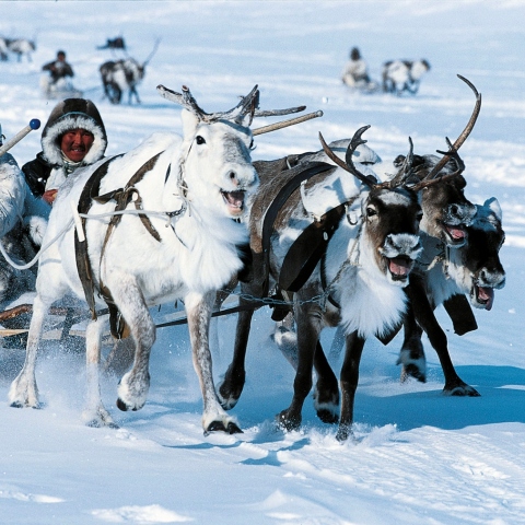 Λευκός Παράδεισος