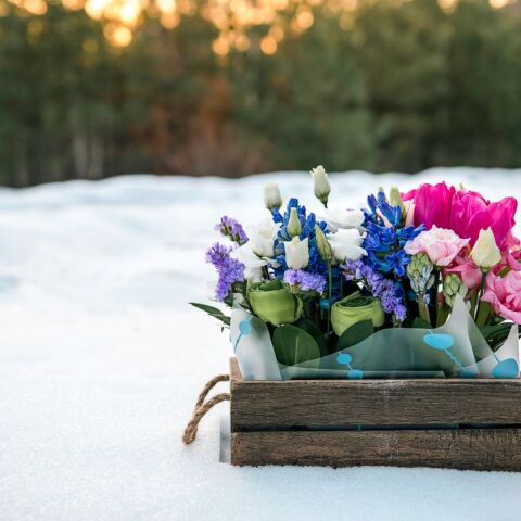 Εορτολόγιο: Σήμερα, 17 Ιανουαρίου 2026, γιορτάζει…