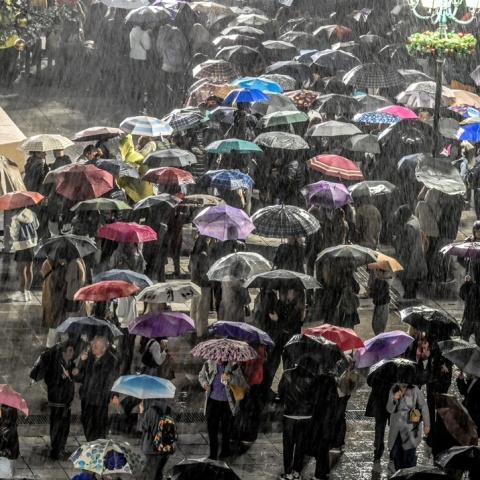 Πολίτες με ομπρέλες εν μέσω καταιγίδας