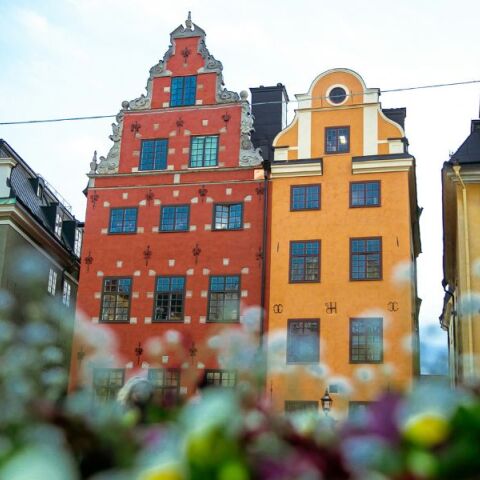 Η σουηδική Οδύσσεια: 20 χρόνια στον δρόμο προς το σπίτι