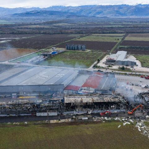 Προς ανάκληση λειτουργίας και τρίτο εργοστάσιο της «Βιολάντα» - Βρέθηκε κρυφή αποθήκη 300-400 τ.μ