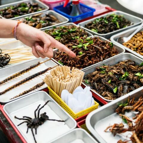 Η τεχνολογία και η επιστήμη εντάσσουν τα έντομα στη διατροφή μας