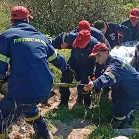 Η επιχείρηση διάσωσης του άνδρα στο Άλσος Βεϊκου