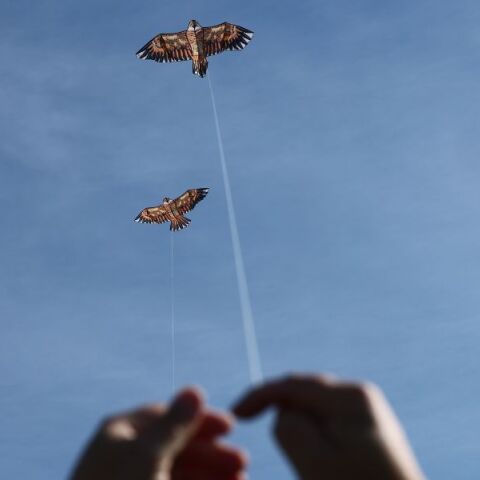 Θεσσαλονίκη: Πλήθος κόσμου γιόρτασε την Καθαρά Δευτέρα στο Σέιχ Σου - Με σαρακοστιανά και μουσική, η πόλη υποδέχθηκε τη Σαρακοστή