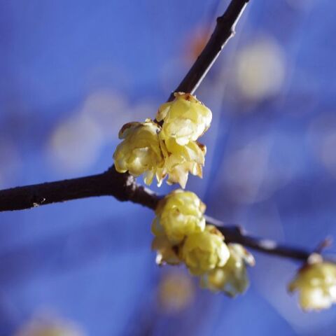 Εορτολόγιο: Σήμερα, 25 Φεβρουαρίου 2026, γιορτάζει…