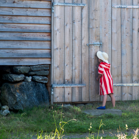 Χαρά Γάτσιου - Unframed