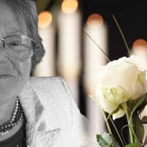 «Ελευθέριος Βενιζέλος»: Πώς έγινε η τραγωδία με την 67χρονη ΑμεΑ  