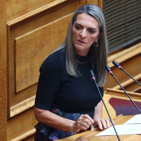 Πέτη Πέρκα: Η βουλευτής Φλώρινας και εκπρόσωπος της Νέας Αριστεράς ασκεί κριτική στην κυβέρνηση - «Ο φράχτης στον Έβρο δεν έχει νόημα»