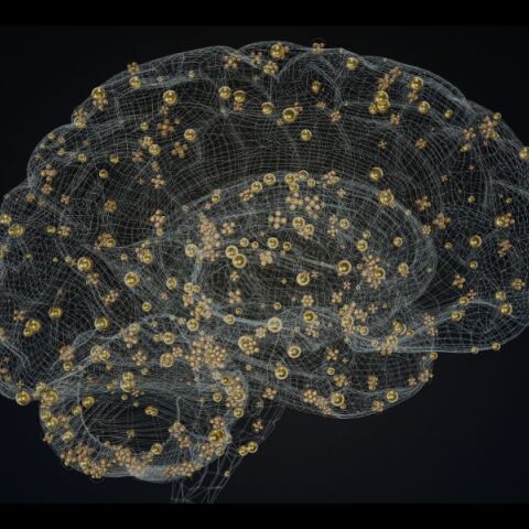 Η Ευρώπη αλλάζει πορεία στην υγεία του Εγκεφάλου – και η Ελλάδα χρειάζεται Εθνικό Σχέδιο 