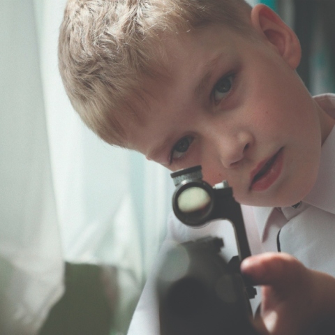 Νοbody against Putin