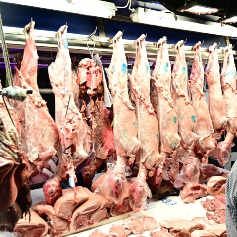 Αρνιά και κατσίκια στη Βαρβάκειο ενόψει Πάσχα