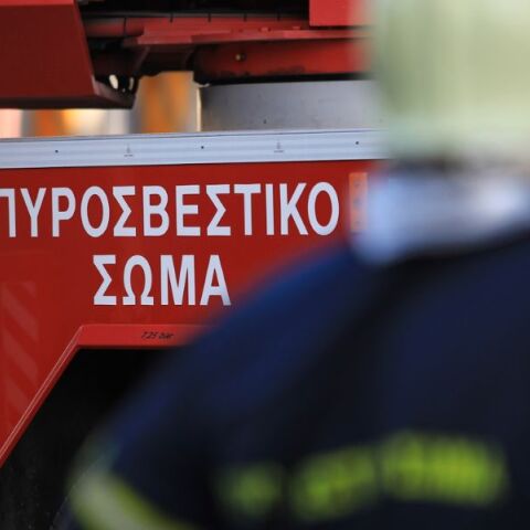 Πυρκαγιά ξέσπασε σε αγροτοδασική έκταση στον Αλειμματά Κεφαλονιάς - Επιχειρούν 32 πυροσβέστες και πεζοπόρα τμήματα για τον περιορισμό του μετώπου.