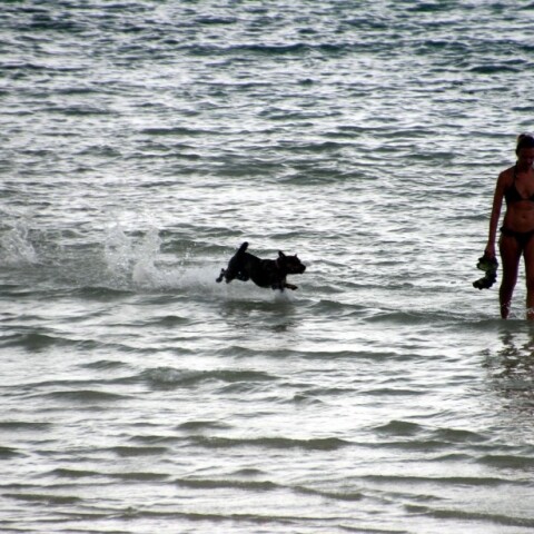 Γυναίκα με μαγιό μαζί με τον σκύλο της στην παραλία