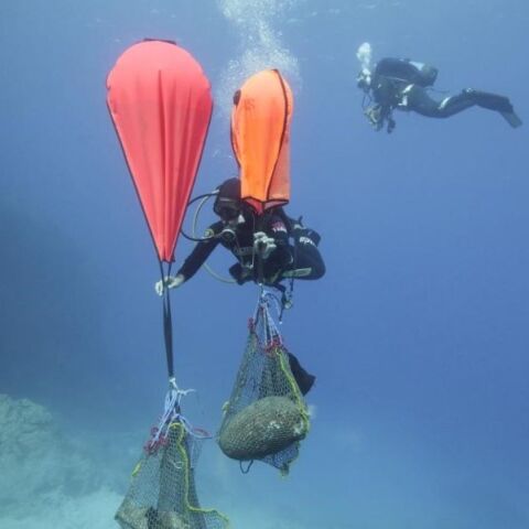 ΥΠΠΟ: Η ενάλια έρευνα σε Κάσο και Κάρπαθο αποκάλυψε ναυάγια, άγκυρες και αρχαίες εγκαταστάσεις, φωτίζοντας 26 αιώνες θαλάσσιας ιστορίας.