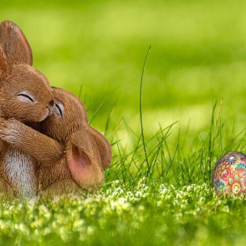 Διακοσμητικά λαγουδάκια και αυγά για το Πάσχα 2026