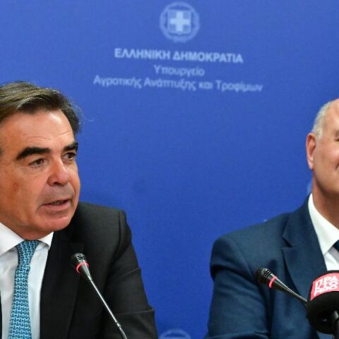 Σχοινάς: Τσιάρας - Κελλάς χειρίστηκαν την «τέλεια καταιγίδα» αποτελεσματικά και με εντιμότητα