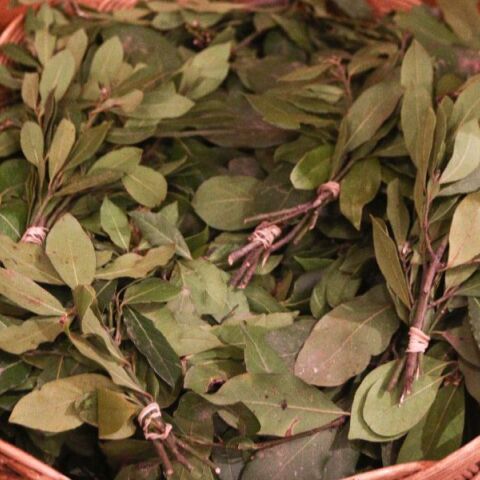 Κυριακή των Βαΐων: Γιατί τρώμε ψάρι σήμερα - Τι γιορτάζουμε