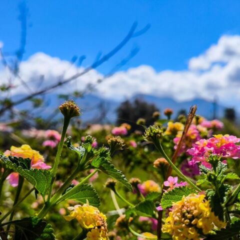 Ο καιρός την Κυριακή του Πάσχα: Άνοδος θερμοκρασίας έως 22°C, παροδικές νεφώσεις και τοπικές βροχές στα ηπειρωτικά ορεινά - Αναλυτική πρόγνωση