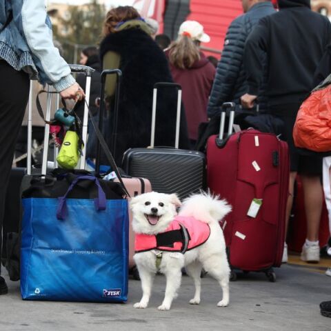Ολοκληρώνεται η έξοδος για το Πάσχα 2026 - Με μικρότερη ένταση η κίνηση στα λιμάνια το Μεγάλο Σάββατο, μετά το «κύμα» 37.000 εκδρομέων της Παρασκευής.