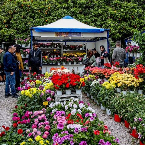 Η Ανθοκομική Έκθεση Κηφισιάς επιστρέφει για τους λάτρεις των λουλουδιών και των φυτών