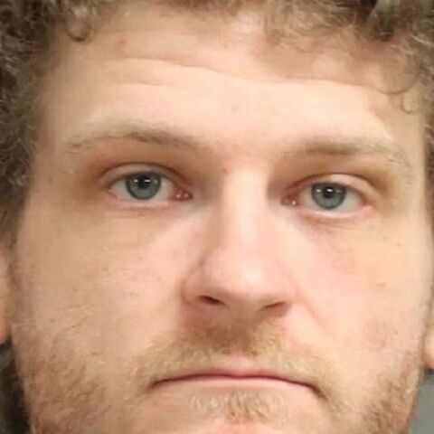 Ο ηθοποιός των ταινιών Hunger Games Ίθαν Τζέιμισον συνελήφθη για επίθεση με όπλο σε τρεις άνδρες - Οι βαριές κατηγορίες που αντιμετωπίζει στις ΗΠΑ.