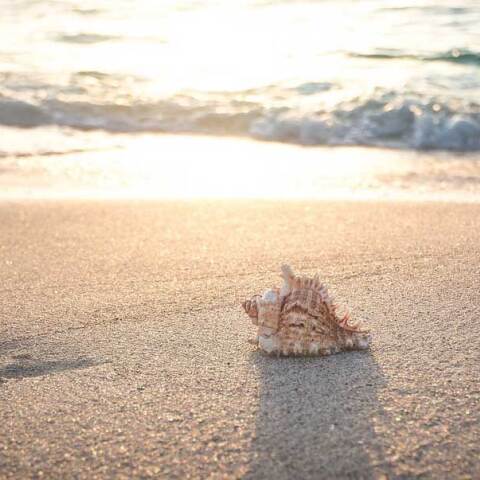 Κοινωνικός Τουρισμός