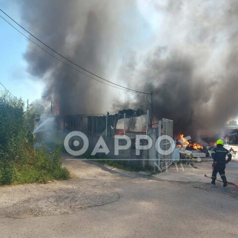 Μεγάλη φωτιά σε επιχείρηση στη Νέα Είσοδο Καλαμάτας