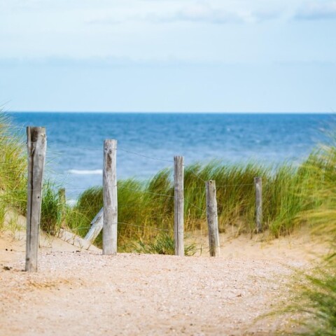 Πάσσαλοι σε παραλία