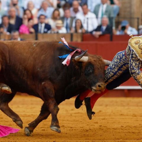 Ο «βασιλιάς των ταυρομάχων» Μοράντε ντε λα Πουέμπλα δίνει μάχη με τον πόνο μετά από βάναυσο ατύχημα - Τραυματίστηκε σοβαρά σε ταυρομαχία στη Σεβίλλη