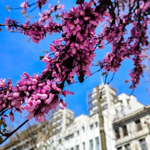 Καιρός σήμερα: Ήλιος στις περισσότερες περιοχές και τοπικές βροχές σε Κρήτη και Δωδεκάνησα - Θερμοκρασίες έως 23°C και άνεμοι έως 6 μποφόρ.