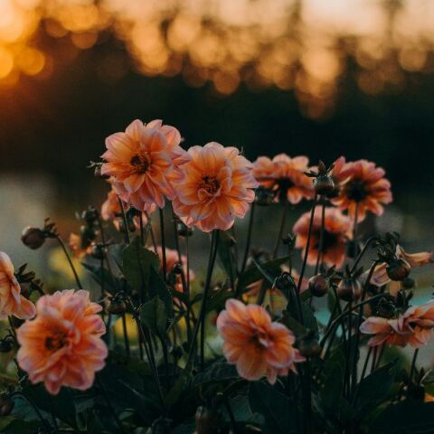 Εορτολόγιο: Σήμερα 28 Απριλίου 2026 γιορτάζει…