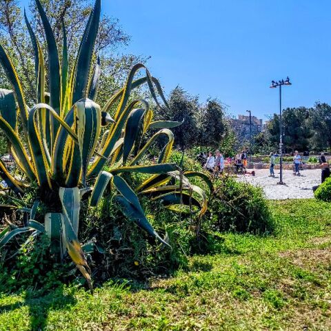 Ο καιρός την Πρωτομαγιά: Πού θα θυμίζει φθινόπωρο