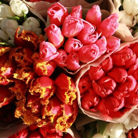 Εορτολόγιο: Σήμερα 29 Απριλίου 2026 γιορτάζει…