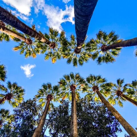 Καιρός: Μέχρι τους 26°C η θερμοκρασία την Τετάρτη - Πού θα βρέχει