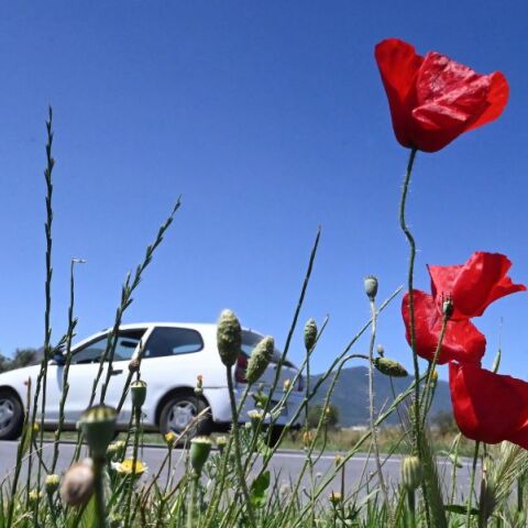 FedHATTA: Επιφυλακτικοί οι Έλληνες για την Πρωτομαγιά λόγω κόστους - Προτιμούν οδικές αποδράσεις σε Ζαγοροχώρια και Ναύπλιο - Μειωμένο ενδιαφέρον για εξωτερικό