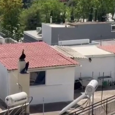 Το δώμα στο οποίο διέμενε η πολύτεκνη οικογένεια στο Περιστέρι