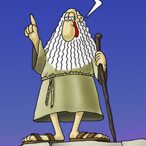 arkas