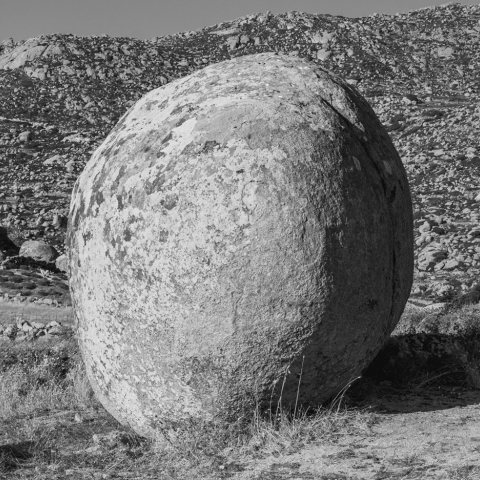 Βώλακας | Τήνος