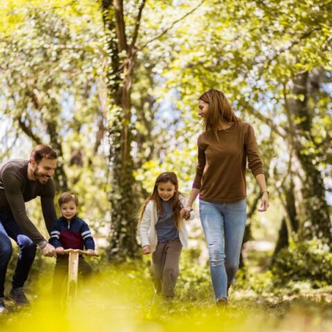Μόλις 20 λεπτά στη φύση αρκούν για να μειωθεί το στρες, να ρυθμιστούν οι ορμόνες και να ενισχυθεί το ανοσοποιητικό - Ερευνητές εξηγούν τη θετική επίδραση.