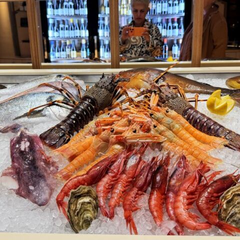 Casa Fish 