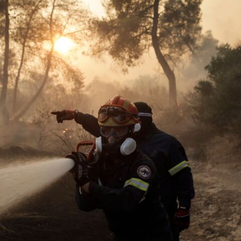 Στο αυτόφωρο τρία άτομα για πυρκαγιές από αμέλεια σε Εύβοια, Ροδόπη και Βοιωτία - 81 συλλήψεις και 411 πρόστιμα από τις αρχές του έτους 