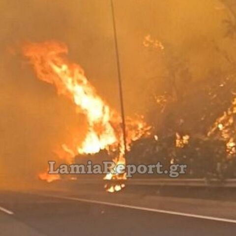 Συνεχίζεται η μάχη με τις φλόγες στο Ακραιφνίο Βοιωτίας - Έκλεισε η εθνική, πού εκτρέπεται η κυκλοφορία