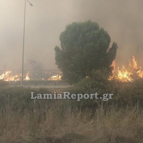Έκλεισε η Αθηνών - Λαμίας λόγω της φωτιάς στο Ακραίφνιο Βοιωτίας - Ισχυροί οι άνεμοι στην περιοχή