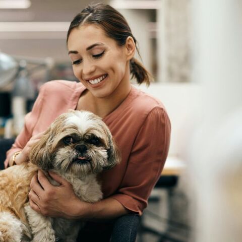Νέα έρευνα της Mars: Οι pet-friendly χώροι εργασίας κερδίζουν έδαφος - Η Gen Z και οι Millennials οδηγούν την αλλαγή 